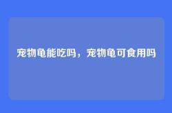 宠物龟能吃吗，宠物龟可食用吗