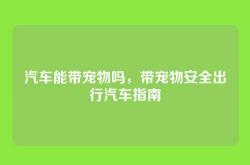 汽车能带宠物吗，带宠物安全出行汽车指南