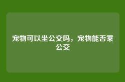 宠物可以坐公交吗，宠物能否乘公交