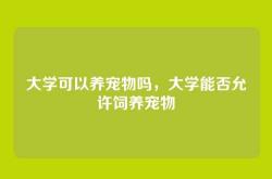 大学可以养宠物吗，大学能否允许饲养宠物