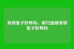 宠物兔子好养吗，乖巧温顺宠物兔子好养吗