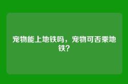 宠物能上地铁吗，宠物可否乘地铁？