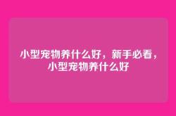 小型宠物养什么好，新手必看，小型宠物养什么好