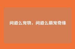 问道么宠物，问道么萌宠奇缘