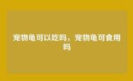 宠物龟可以吃吗，宠物龟可食用吗
