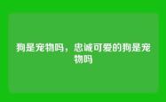 狗是宠物吗，忠诚可爱的狗是宠物吗