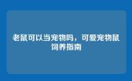 老鼠可以当宠物吗，可爱宠物鼠饲养指南
