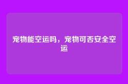 宠物能空运吗，宠物可否安全空运