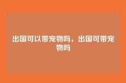 出国可以带宠物吗，出国可带宠物吗