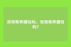 宠物寄养赚钱吗，宠物寄养赚钱吗？