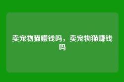 卖宠物猫赚钱吗，卖宠物猫赚钱吗