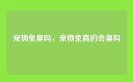 宠物兔臭吗，宠物兔真的会臭吗