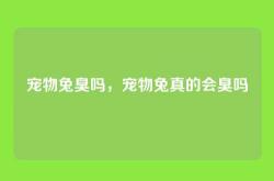 宠物兔臭吗，宠物兔真的会臭吗