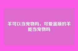 羊可以当宠物吗，可爱温顺的羊能当宠物吗