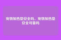 宠物加热垫安全吗，宠物加热垫安全可靠吗