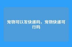 宠物可以发快递吗，宠物快递可行吗