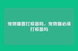 宠物猫要打疫苗吗，宠物猫必须打疫苗吗
