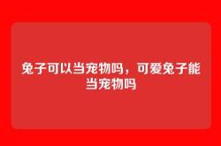 兔子可以当宠物吗，可爱兔子能当宠物吗