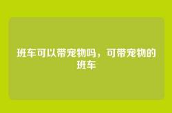 班车可以带宠物吗，可带宠物的班车