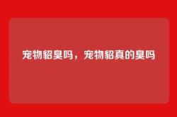 宠物貂臭吗，宠物貂真的臭吗