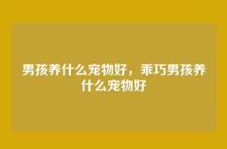 男孩养什么宠物好，乖巧男孩养什么宠物好