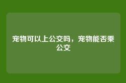 宠物可以上公交吗，宠物能否乘公交