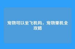 宠物可以坐飞机吗，宠物乘机全攻略