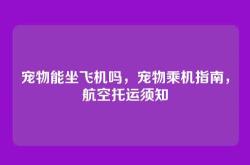 宠物能坐飞机吗，宠物乘机指南，航空托运须知