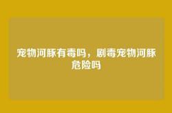 宠物河豚有毒吗，剧毒宠物河豚危险吗