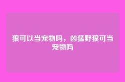 狼可以当宠物吗，凶猛野狼可当宠物吗