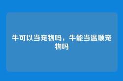 牛可以当宠物吗，牛能当温顺宠物吗