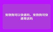 宠物狗可以快递吗，宠物狗可快递寄送吗