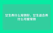 女生养什么宠物好，女生适合养什么可爱宠物