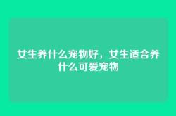 女生养什么宠物好，女生适合养什么可爱宠物