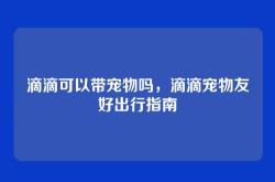 滴滴可以带宠物吗，滴滴宠物友好出行指南