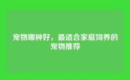 宠物哪种好，最适合家庭饲养的宠物推荐