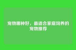 宠物哪种好，最适合家庭饲养的宠物推荐