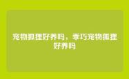 宠物狐狸好养吗，乖巧宠物狐狸好养吗