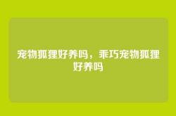 宠物狐狸好养吗，乖巧宠物狐狸好养吗