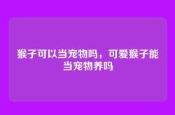 猴子可以当宠物吗，可爱猴子能当宠物养吗