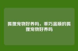 狐狸宠物好养吗，乖巧温顺的狐狸宠物好养吗