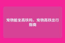 宠物能坐高铁吗，宠物高铁出行指南
