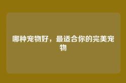 哪种宠物好，最适合你的完美宠物