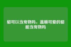 貂可以当宠物吗，温顺可爱的貂能当宠物吗