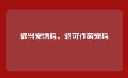 貂当宠物吗，貂可作萌宠吗