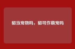 貂当宠物吗，貂可作萌宠吗