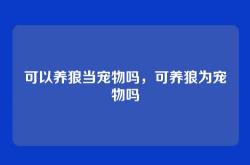 可以养狼当宠物吗，可养狼为宠物吗