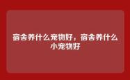宿舍养什么宠物好，宿舍养什么小宠物好
