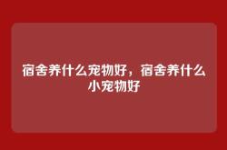 宿舍养什么宠物好，宿舍养什么小宠物好