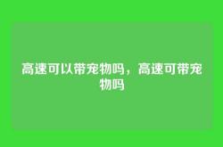 高速可以带宠物吗，高速可带宠物吗
